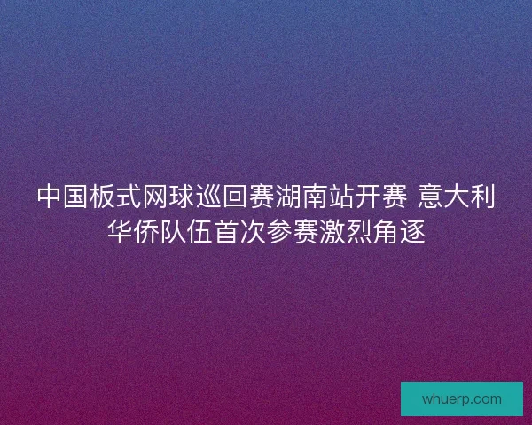 中国板式网球巡回赛湖南站开赛 意大利华侨队伍首次参赛激烈角逐 中国板式网球巡回赛湖南站开赛 意大利华侨队伍首次参赛激烈角逐
